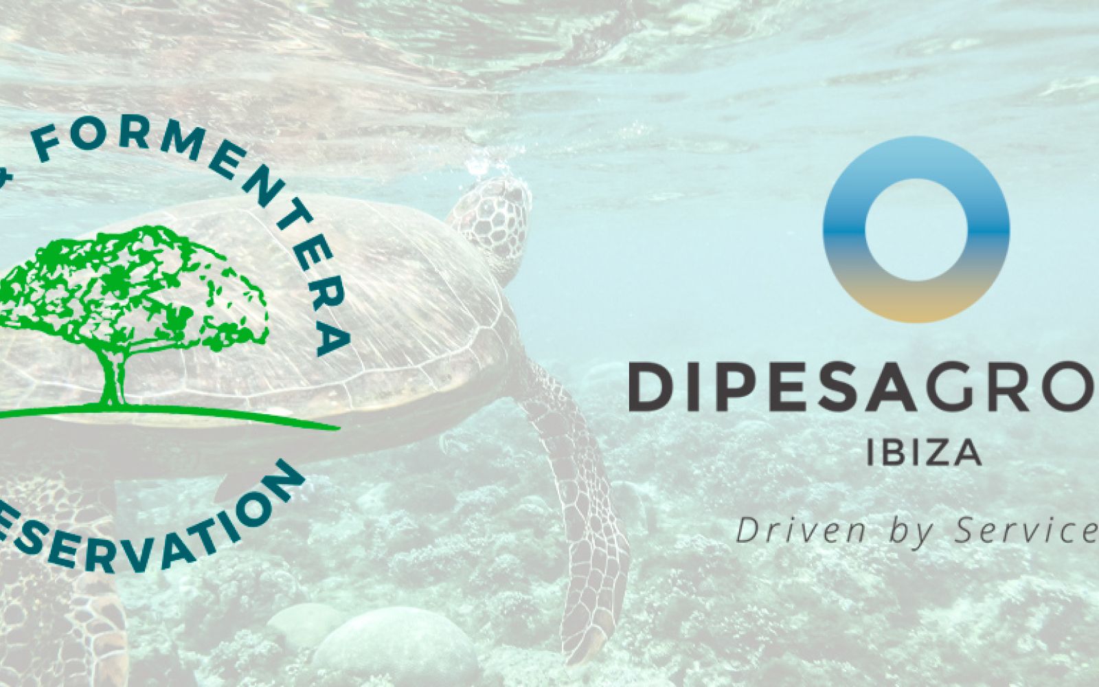 Dipesa Group, colaborador del II Foro Marino de Ibiza y Formentera