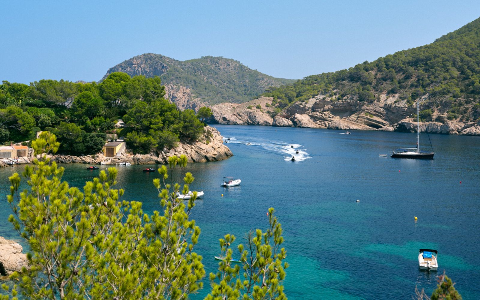 ¿Qué hay detrás de cada traslado privado? La forma en que cuidamos de Ibiza y de quienes la habitan