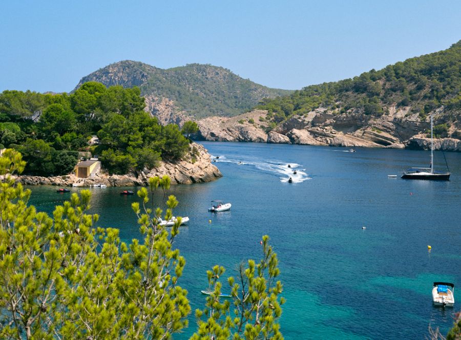 ¿Qué hay detrás de cada traslado privado? La forma en que cuidamos de Ibiza y de quienes la habitan