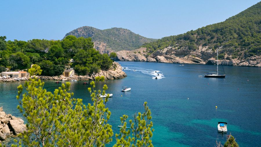 What lies behind every private transfer? The way we care for Ibiza and those who call it home.