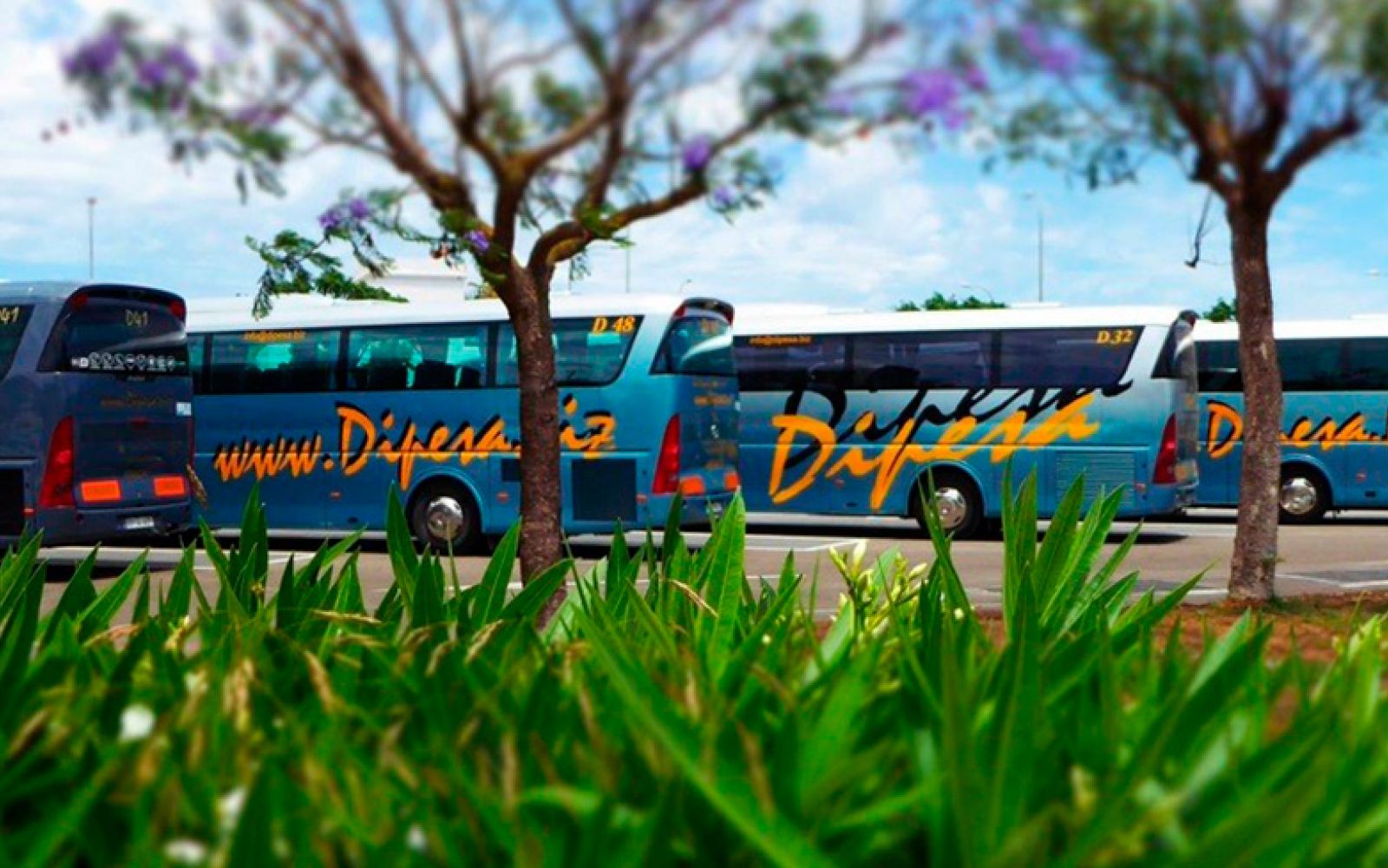 Transporte para tu evento o viaje de incentivos en Ibiza